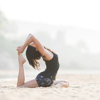 Michele Fife Photo 4