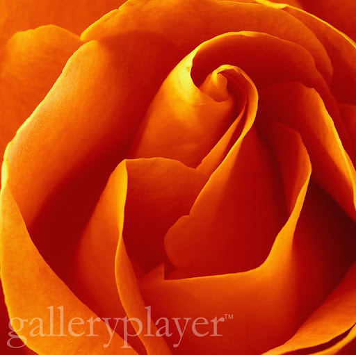 Debra Watson Photo 19