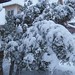 Allison Winters Photo 31