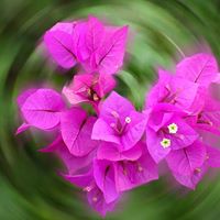 Cindy Kendrick Photo 14