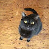 Cindy Estes Photo 32
