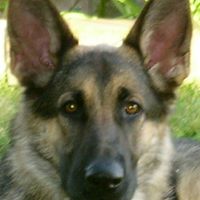 Joseph Gruber Photo 20