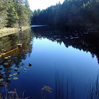 Thomas Keeley Photo 13