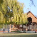 Joann Collins Photo 16