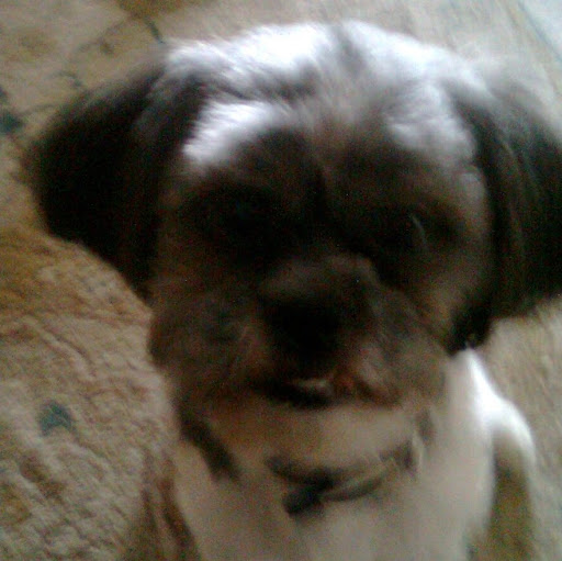 Barbara Smart Photo 13