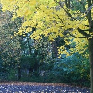 Dominic Leung Photo 19