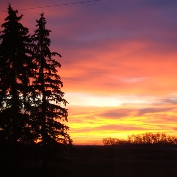 Dale Jacobson Photo 19