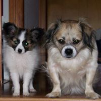 Robin Kephart Photo 7