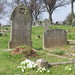 William Spencer Photo 15