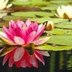 Lucy Lawrence Photo 36