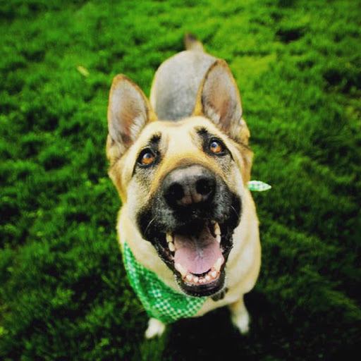 Carrie Tyson Photo 6