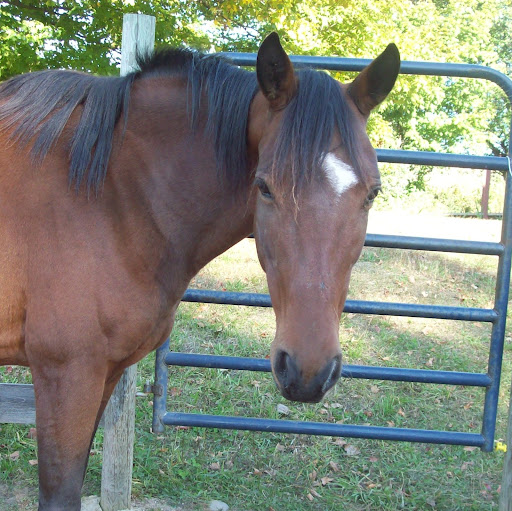 Kristina Houck Photo 5