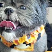 Judith Shepard Photo 4 Judith Shepard Photo 4