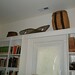 Joseph Creel Photo 25