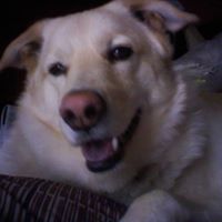 Debra Lowery Photo 25