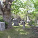 Robert Maines Photo 18