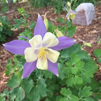 Mary Schroeder Photo 22