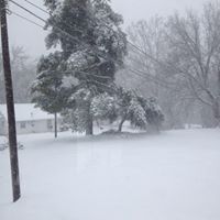 Bobbie Stephens Photo 17