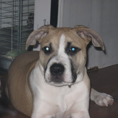 Leslie Rich Photo 12