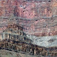 Susan Timmer Photo 4