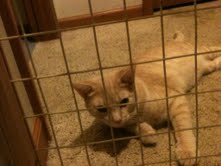 Samantha Bowman Photo 39