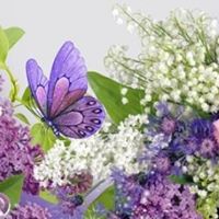 Robyn Faulkner Photo 11