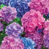 Katherine Bryant Photo 29