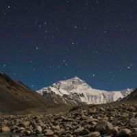 Ying Cheung Photo 15