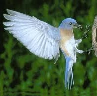 Jane Gilbert Photo 40 Jane Gilbert Photo 40