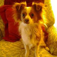 Marlene Bell Photo 17