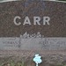 Julia Carr Photo 29