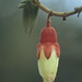Joseph Triana Photo 10