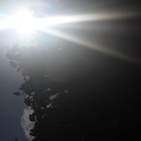 Sue Ray Photo 15