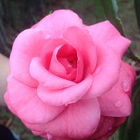 Donna Fritz Photo 21