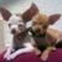 Pamela Conley Photo 35