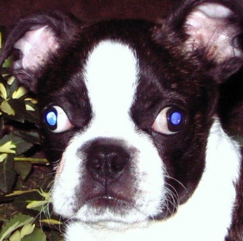 Janet O'Neill Photo 16