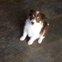 Janice Gore Photo 19