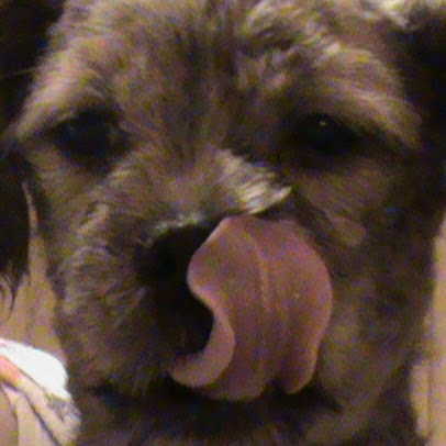 Misty Anderson Photo 28