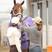 Stephanie Harrison Photo 30
