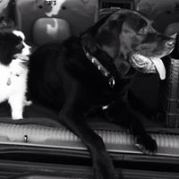 Lindsay Thompson Photo 49