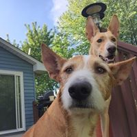 Kristen Mccarty Photo 3