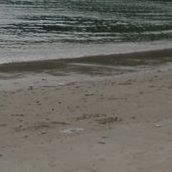 James Geiger Photo 10