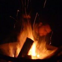Joe Levine Photo 37