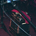 Marcos Ruiz Photo 24