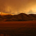 Michele Storms Photo 13