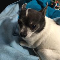 Norma Weiland Photo 2