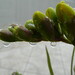 Bin Sui Photo 8