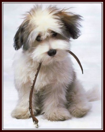 Ana Samayoa Photo 22