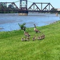 Joyceann Grady Photo 4
