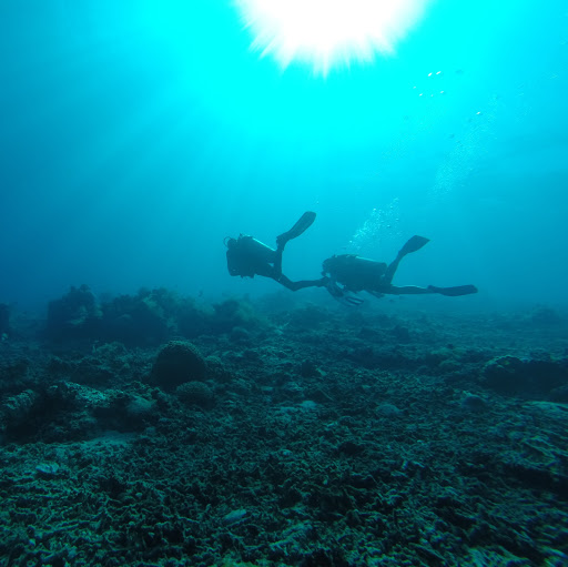 Caitlin James Photo 13